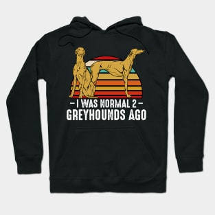 Sighthound - I Was Normal 2 Greyhounds Ago - Funny Dog Owner Hoodie